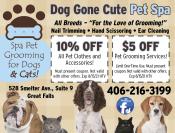 Coupon Offer: 10% OFF All Pet Clothes and Accessories!