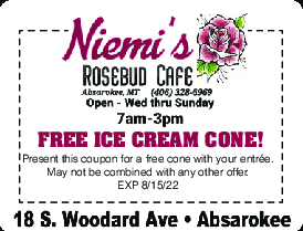 Coupon Offer: FREE ICE CREAM CONE